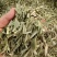 中药材绿绿的香茅草有货新货大货供应