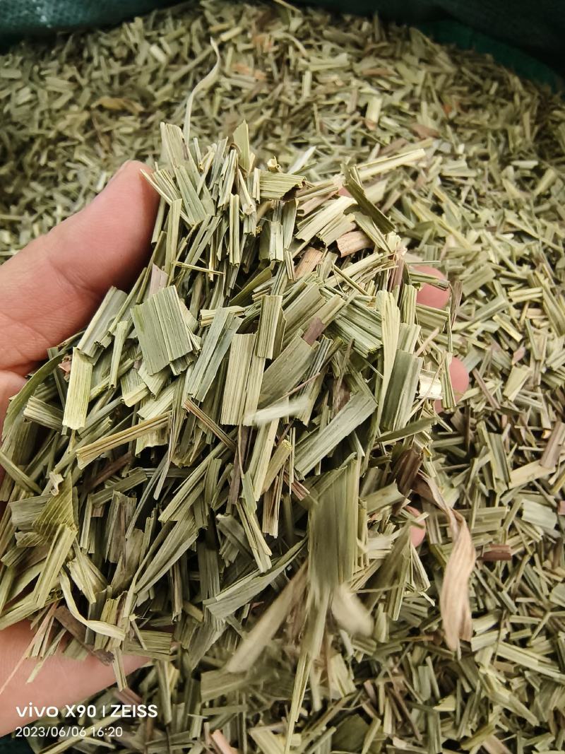 中药材绿绿的香茅草有货新货大货供应