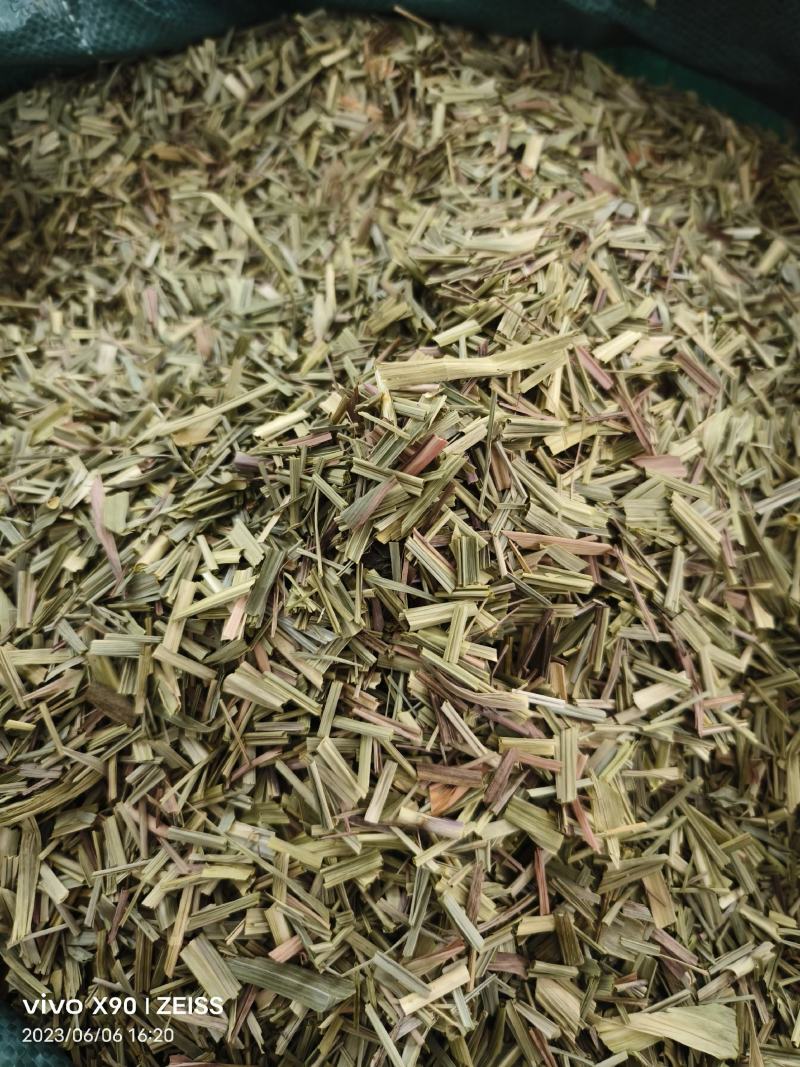 中药材绿绿的香茅草有货新货大货供应