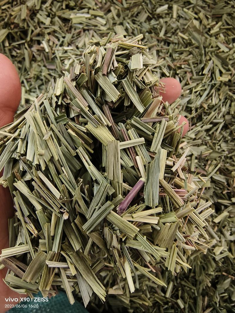 中药材绿绿的香茅草有货新货大货供应