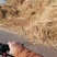 自家优质稻草揉丝扎段粉碎打包无土无尘稻草