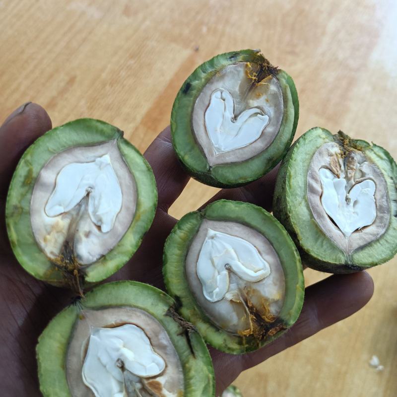 青皮核桃