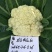 松花60天耐热耐湿早熟松花菜种子花球松大青梗松花菜种籽