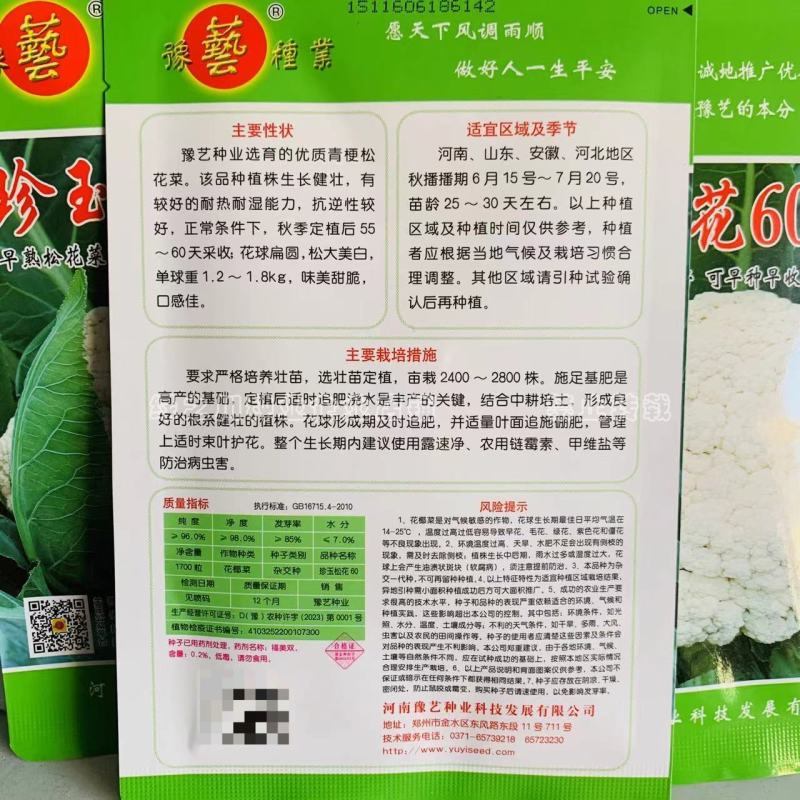 松花60天耐热耐湿早熟松花菜种子花球松大青梗松花菜种籽