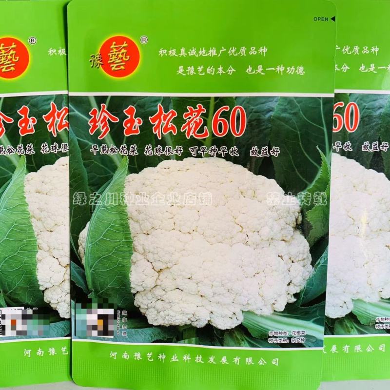 松花60天耐热耐湿早熟松花菜种子花球松大青梗松花菜种籽
