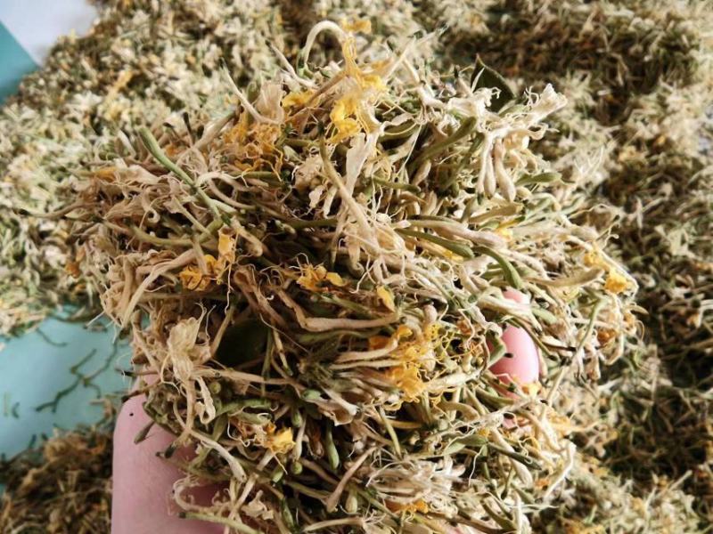 金银花山银产地直发贵州高山金银花无硫磺自然晾干！