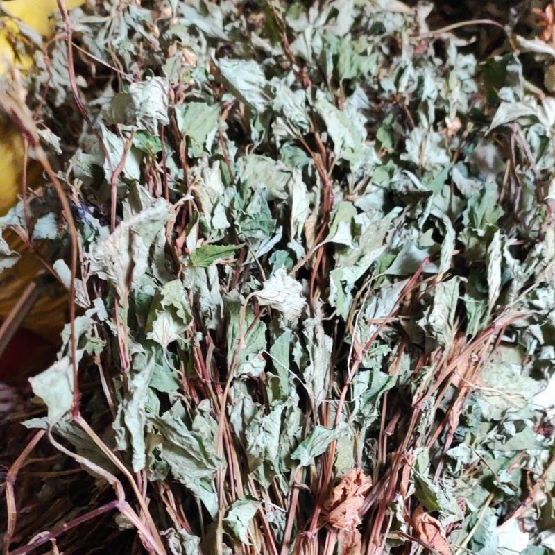 整株可切断鱼腥草新货全干折耳根干货可零售可批发可发快递