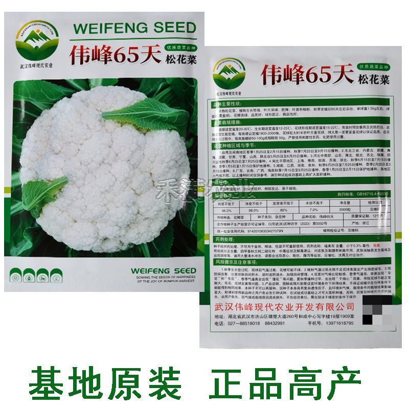 基地优品伟峰65松花菜种子有机花菜种籽花椰菜籽早中熟青梗