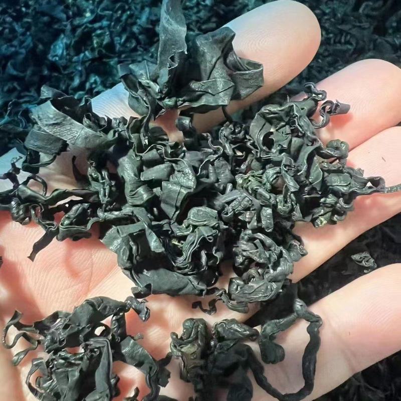 烘干裙带菜淡干裙带菜大连金石滩产地厂家直供诚信经营价格优