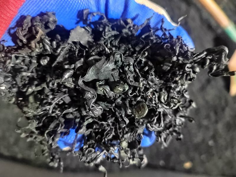 烘干裙带菜淡干裙带菜大连金石滩产地厂家直供诚信经营价格优
