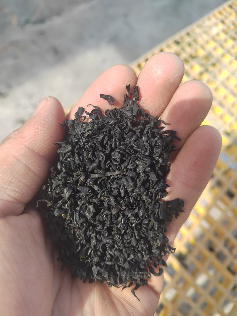 烘干裙带菜淡干裙带菜大连金石滩产地厂家直供诚信经营价格优