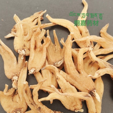 西藏纯野生手掌参