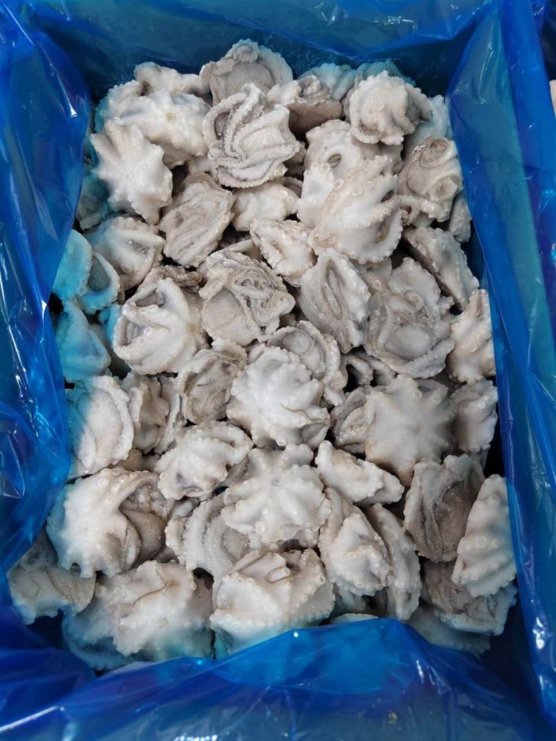 干冰翻花盐磨八爪鱼，质量杠杠的滴价格美丽，一手货源欢迎
