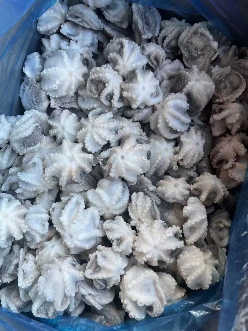 干冰翻花盐磨八爪鱼，质量杠杠的滴价格美丽，一手货源欢迎