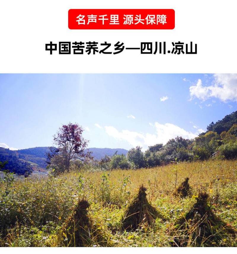 苦荞面四川大凉山黑苦荞粉纯荞麦面粉苦荞麦粉多省包邮