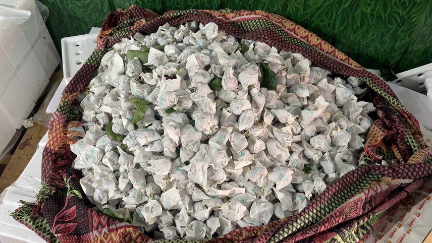 一张高清图片展示不同颜色的车厘子排列在白色背景上,包括浅红、深红以及接近黑色的果实 车厘子展示图