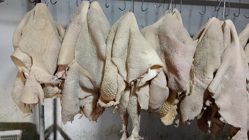水煮熟牛肚产地一手货源直发品质好价格可谈