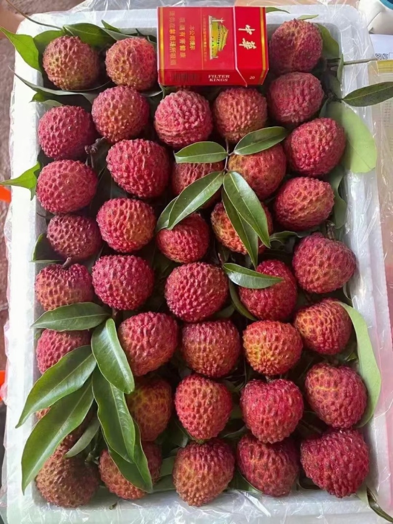 广西灵山荔枝王，大量货源，基地货，大量供应