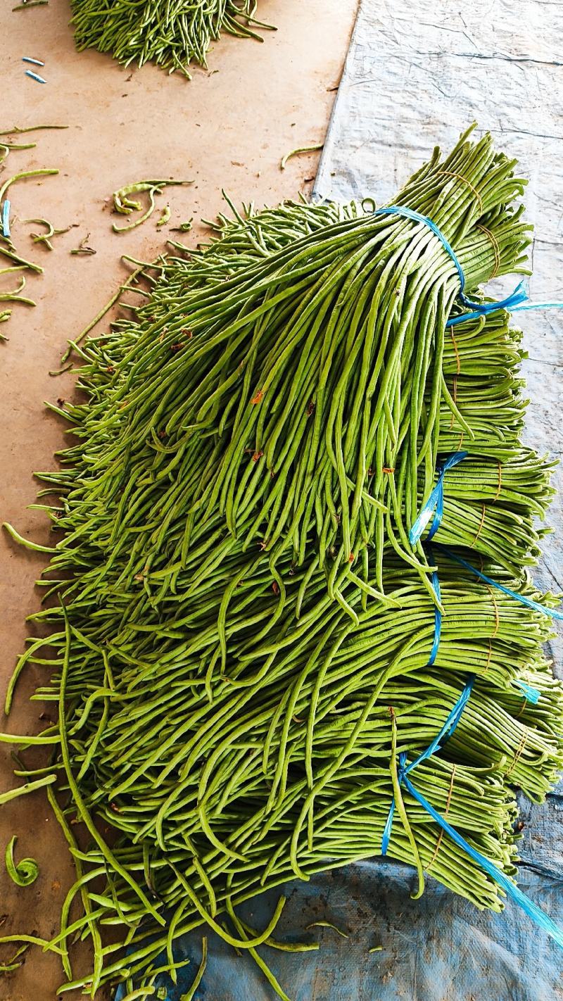 精品长豆角青豆角，基地直采量大质优市场电商工厂