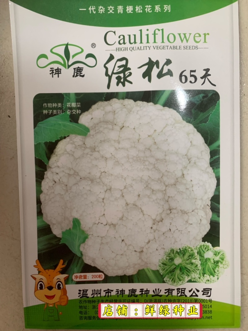 早熟花椰菜：瑞雪特大60天耐热矮桩紧凑洁白