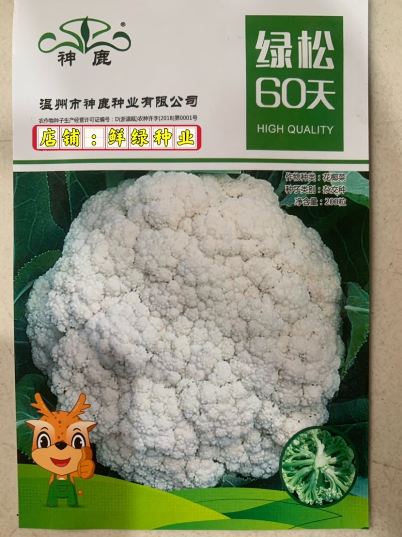 早熟花椰菜：瑞雪特大60天耐热矮桩紧凑洁白