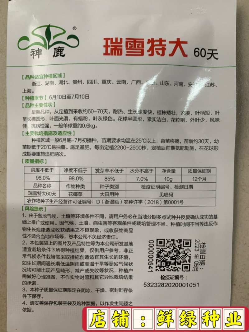 早熟花椰菜：瑞雪特大60天耐热矮桩紧凑洁白