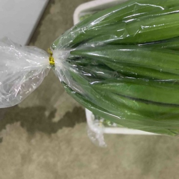 秋葵小包装0.6斤一包整箱24包