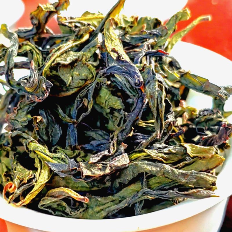 高山茶潮汕工夫茶潮汕惠来土山茶烘焙清香型新茶乌龙茶香茶叶