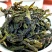 高山茶潮汕工夫茶潮汕惠来土山茶烘焙清香型新茶乌龙茶香茶叶