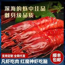 红魔虾鲜活超大刺身甜虾生腌海鲜水产非进口海鳌虾牡丹虾包邮