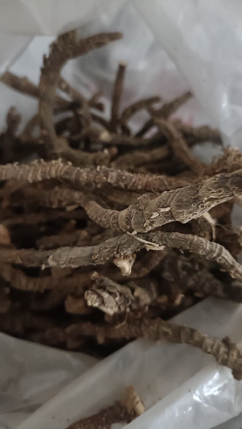 石菖蒲，石菖蒲干货
