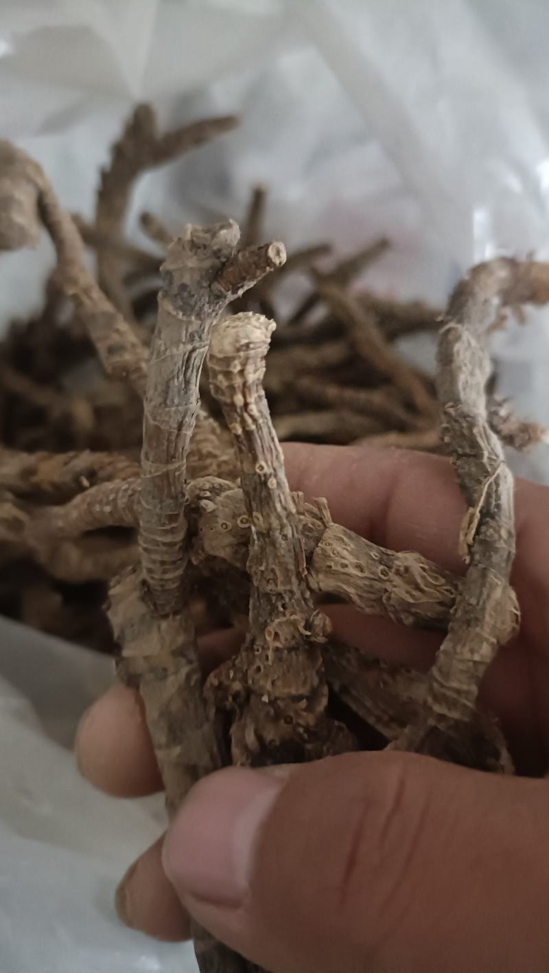 石菖蒲，石菖蒲干货