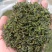 茶叶绿茶香茶
