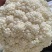 80天小米粒青梗散花菜有机花菜松花菜产地