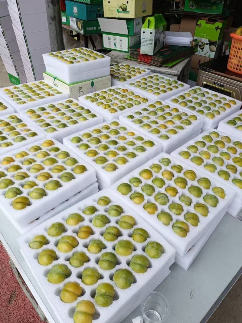 蜂糖李一件发