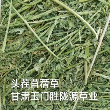 头茬苜蓿草全国批发，需要的关注甘肃玉门头茬苜蓿草