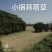头茬苜蓿草全国批发，需要的关注甘肃玉门头茬苜蓿草