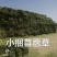 头茬苜蓿草全国批发，需要的关注甘肃玉门头茬苜蓿草