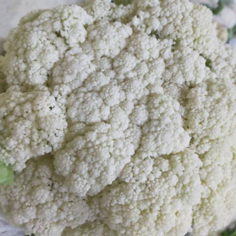 有机菜花适中乳白2斤万全青梗散花菜小米粒松花菜