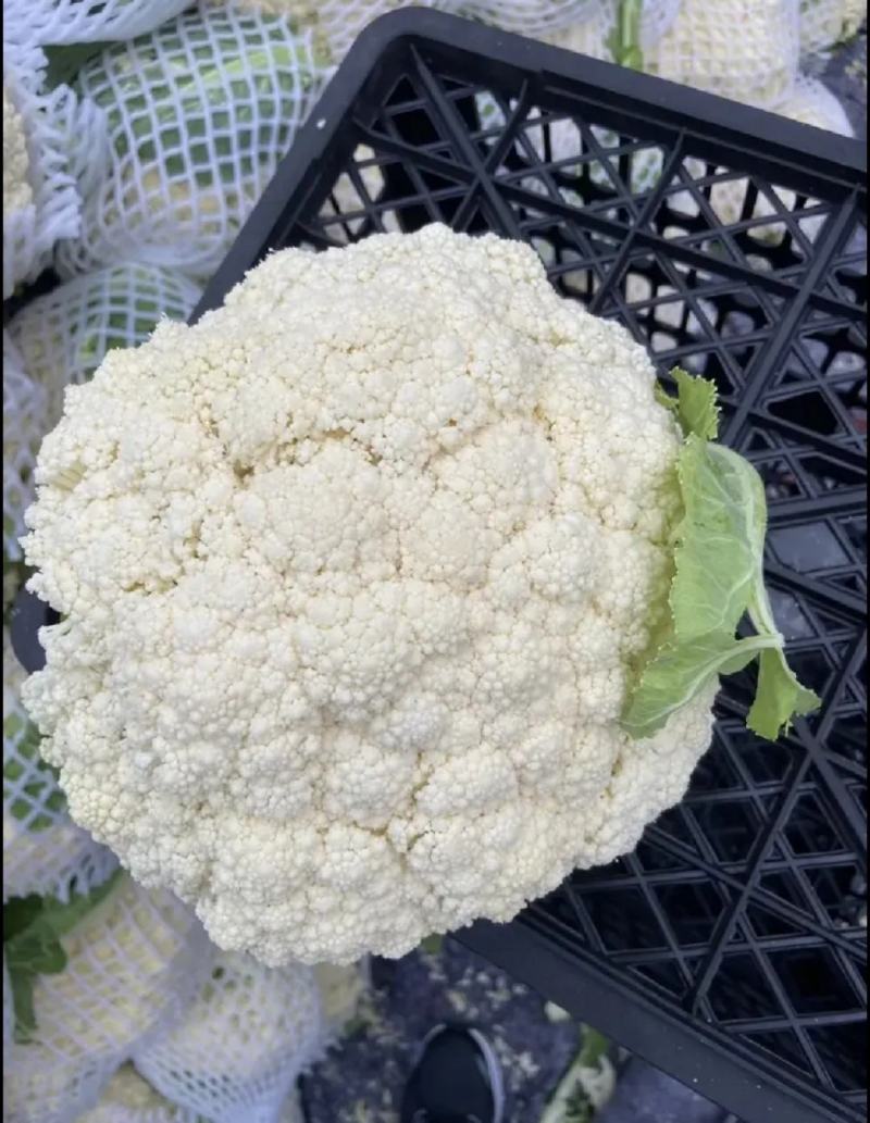 有机菜花适中乳白2斤万全青梗散花菜小米粒松花菜