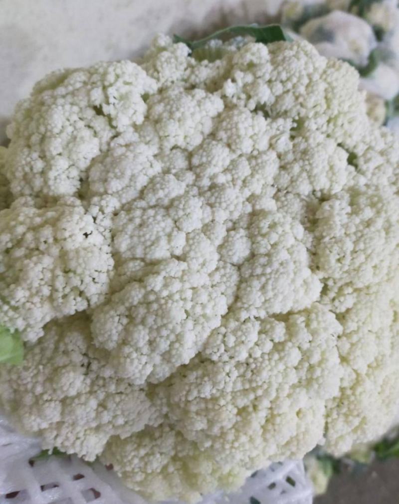 有机菜花适中乳白2斤万全青梗散花菜小米粒松花菜