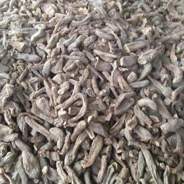 肉苁蓉选货新疆特产