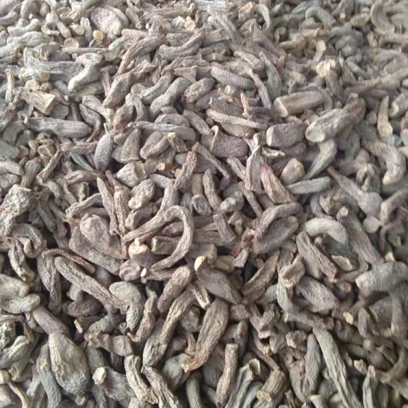 肉苁蓉选货新疆特产