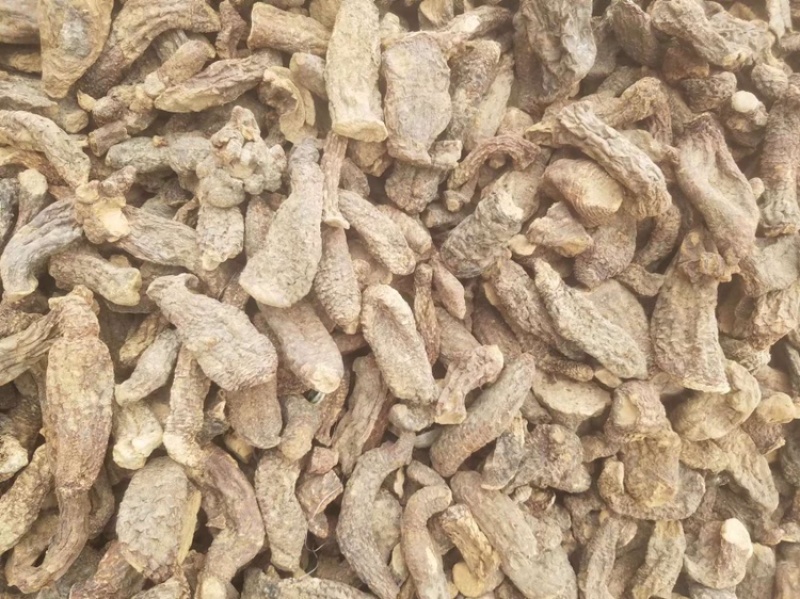 肉苁蓉选货新疆特产
