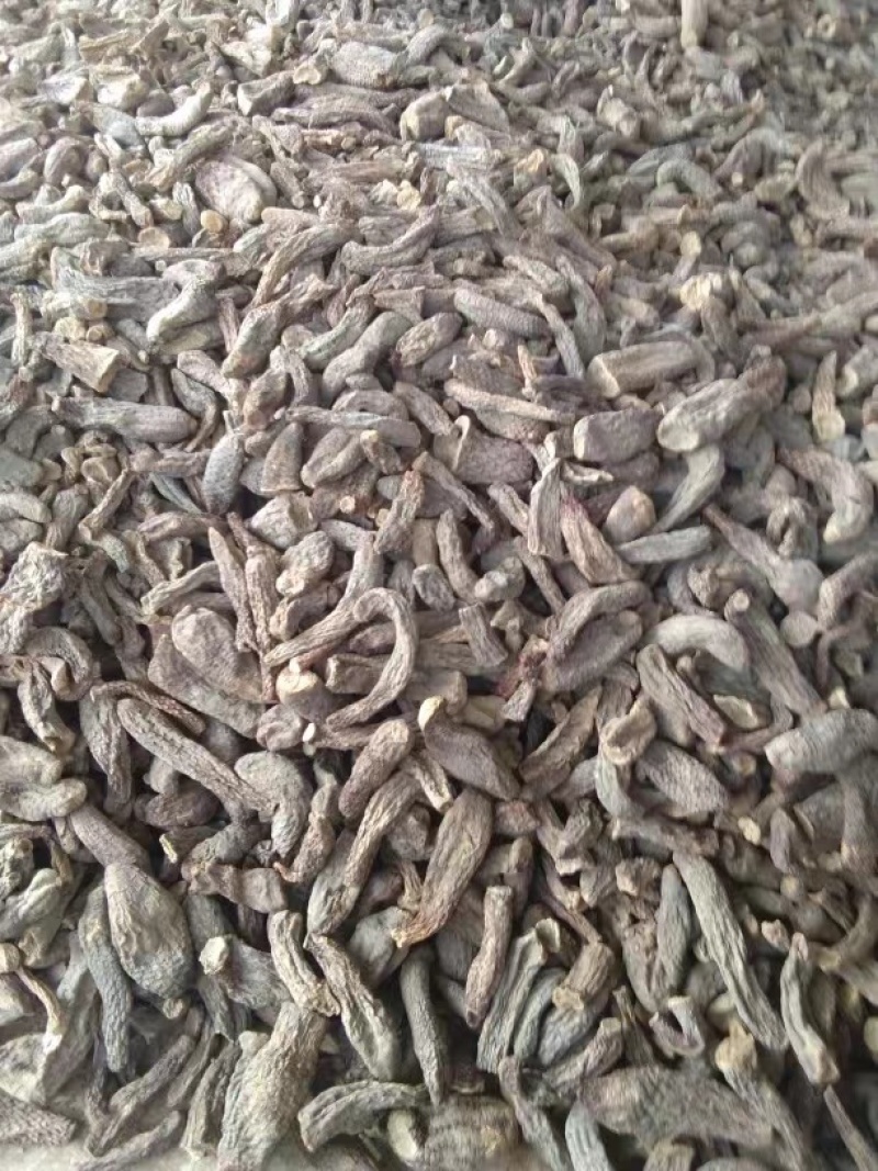 肉苁蓉选货新疆特产