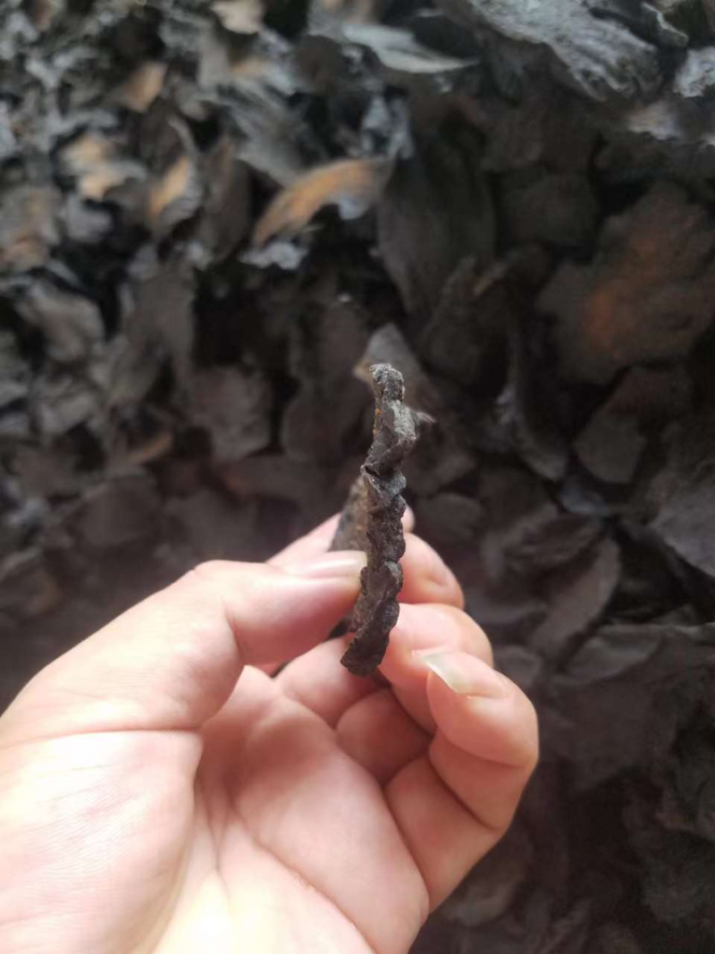 肉苁蓉选货新疆特产