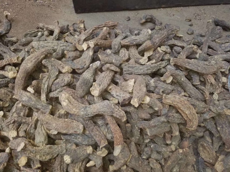 肉苁蓉选货新疆特产