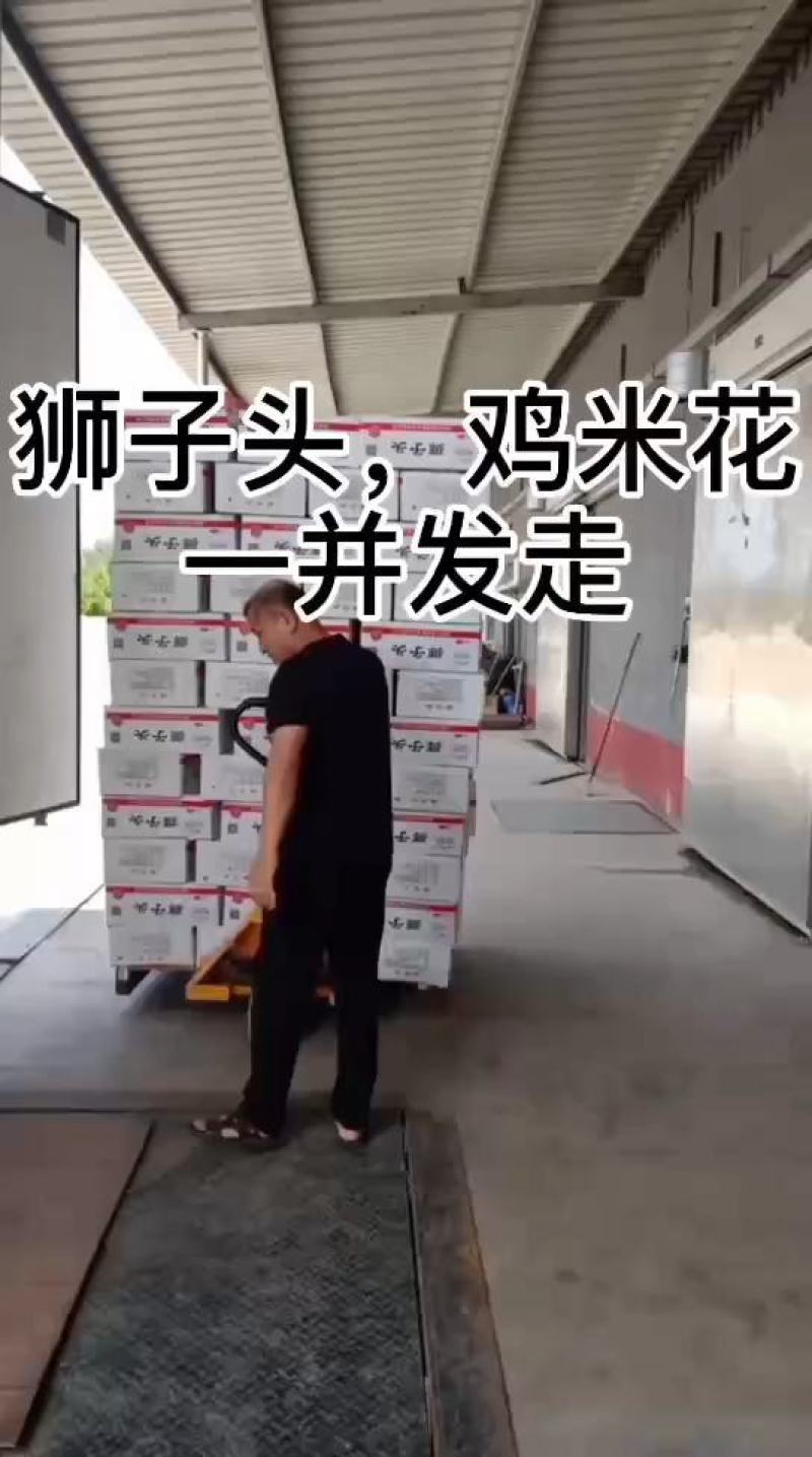 小酥肉留言必回***********