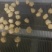 小酥肉留言必回***********