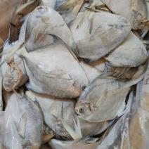 国产船冻白鲳鱼银鲳鱼6-8条一斤合适市场化鲜零售